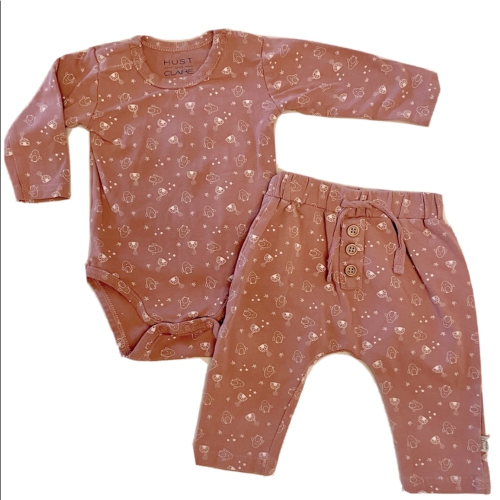 Hust and Clare Organic Cotton 2 Piece Set Danish penguins igloo